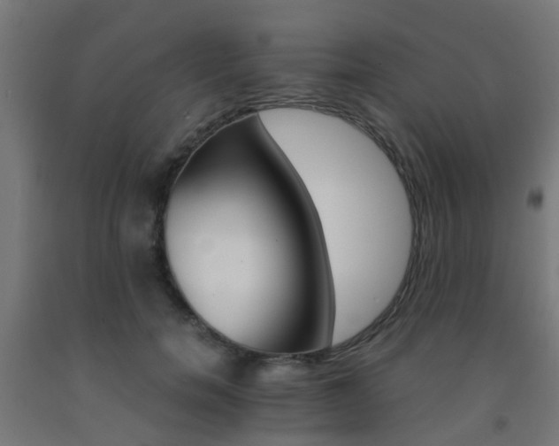 X0000093150750200709261445