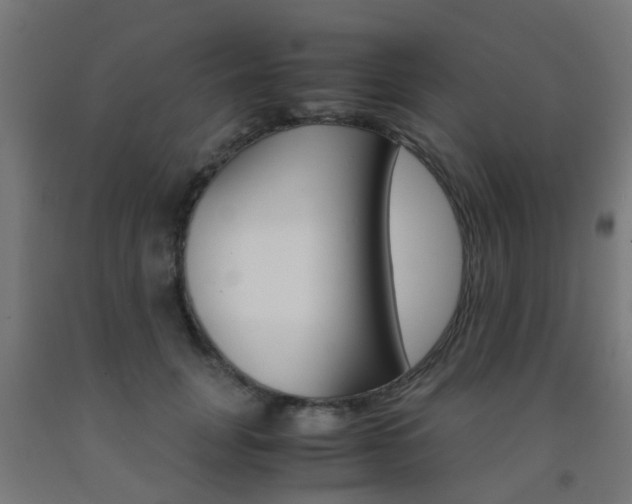 X0000093150751200709261445