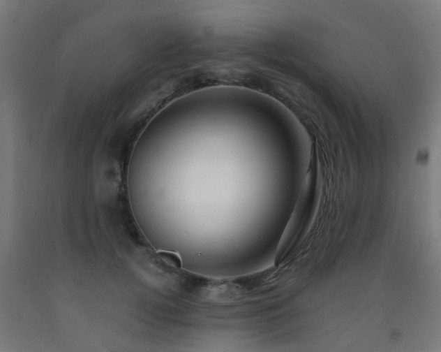 X0000093150752200709261445