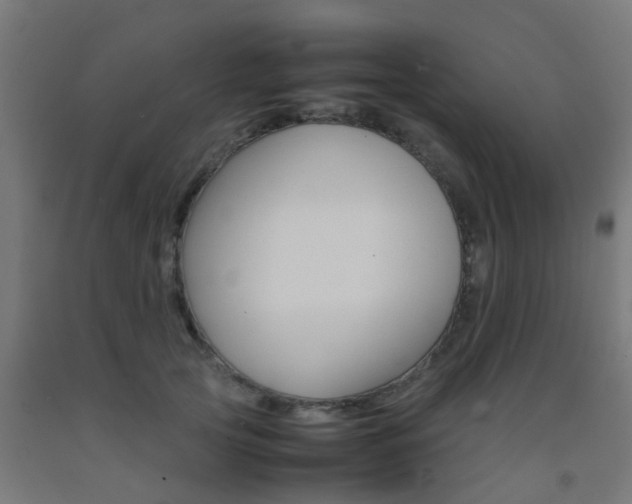X0000093150753200709261445