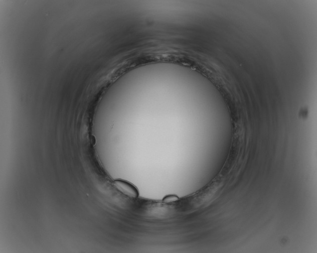X0000093150754200709261445