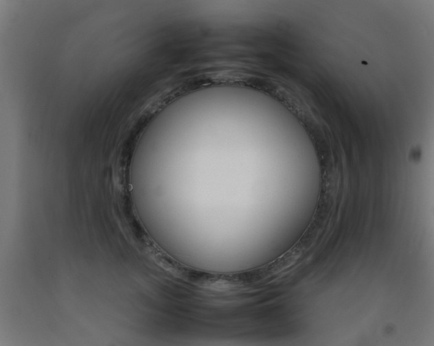 X0000093150755200709261445