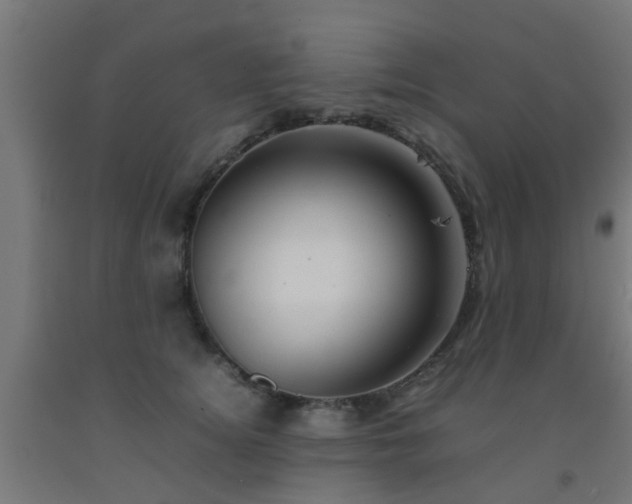 X0000093150756200709261445