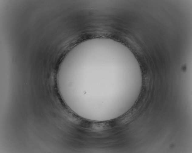 X0000093150757200709261445