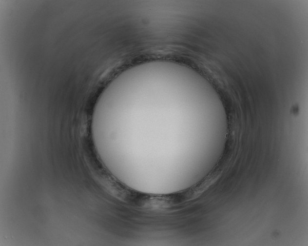 X0000093150758200709261445