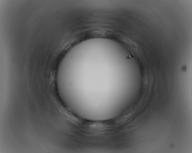X0000093150759200709261445