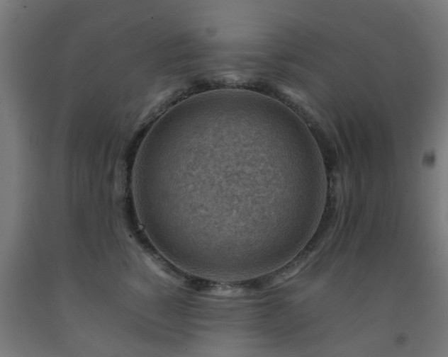 X0000093150760200709261445