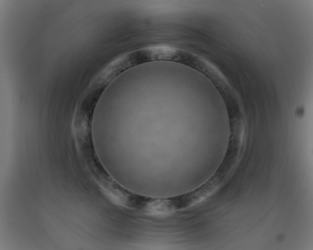 X0000093150761200709261445