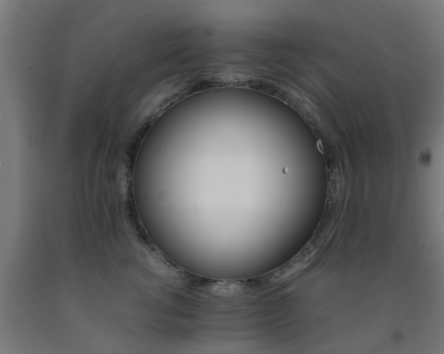 X0000093150762200709261445