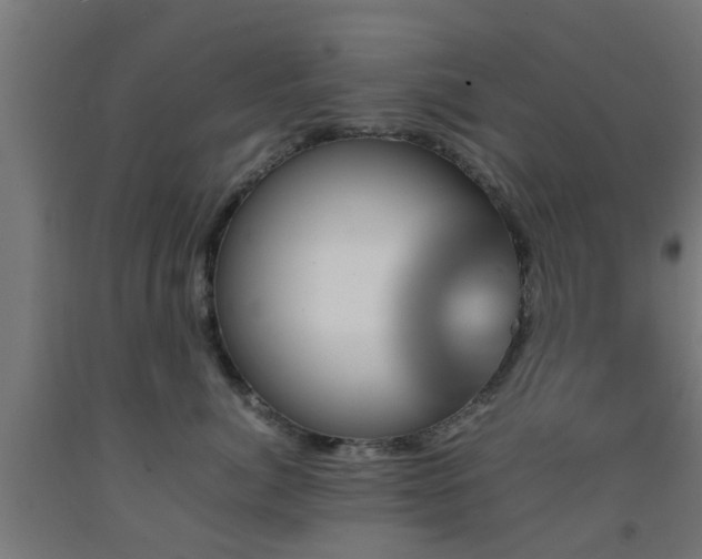 X0000093150764200709261445