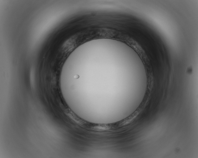 X0000093150765200709261445