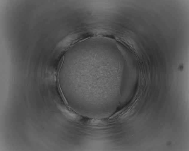 X0000093150766200709261445