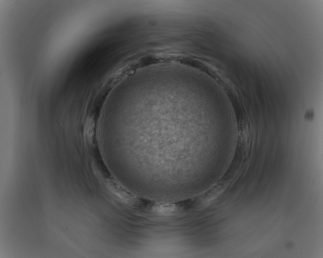 X0000093150767200709261445