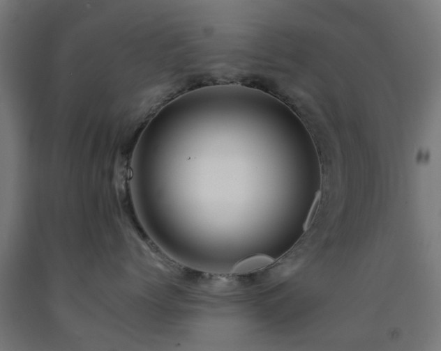 X0000093150768200709261445