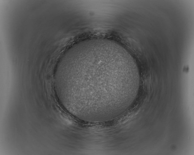 X0000093150769200709261445