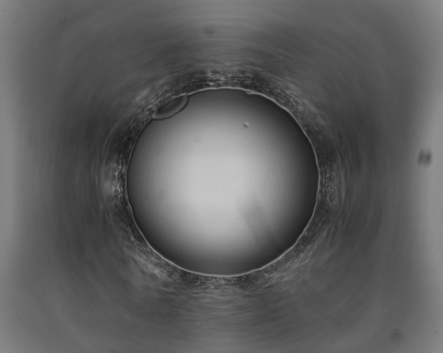 X0000093150770200709261445