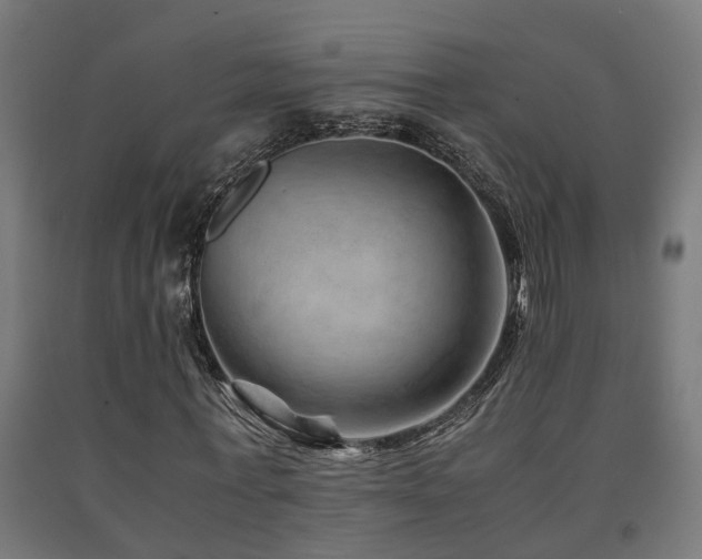 X0000093150771200709261445