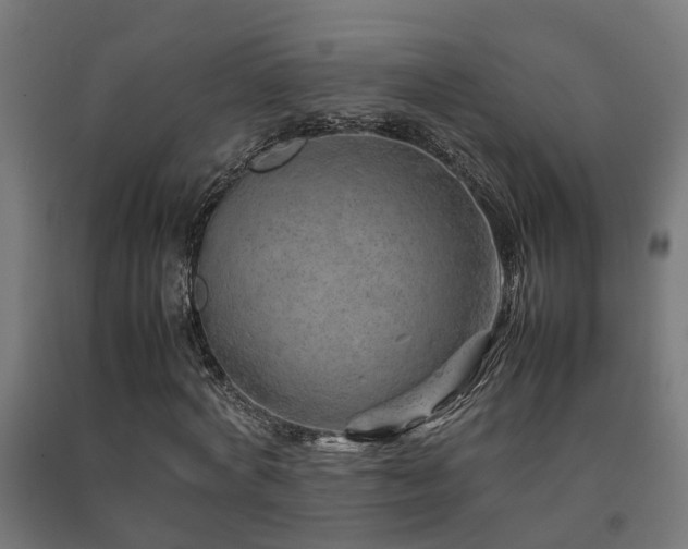 X0000093150772200709261445