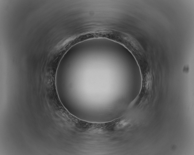 X0000093150773200709261445