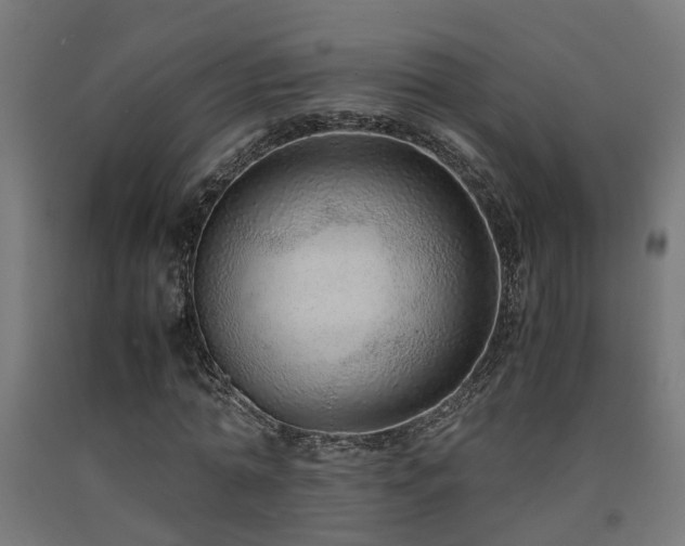 X0000093150774200709261445