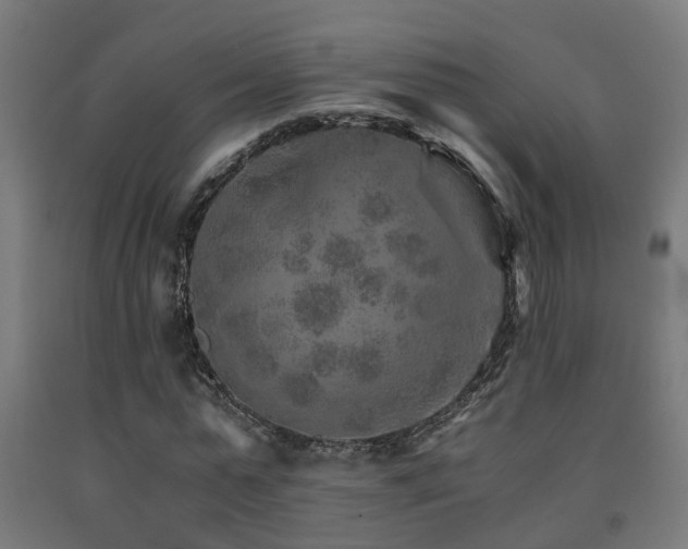 X0000093150775200709261445