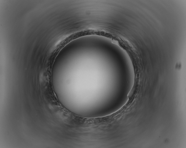 X0000093150776200709261445