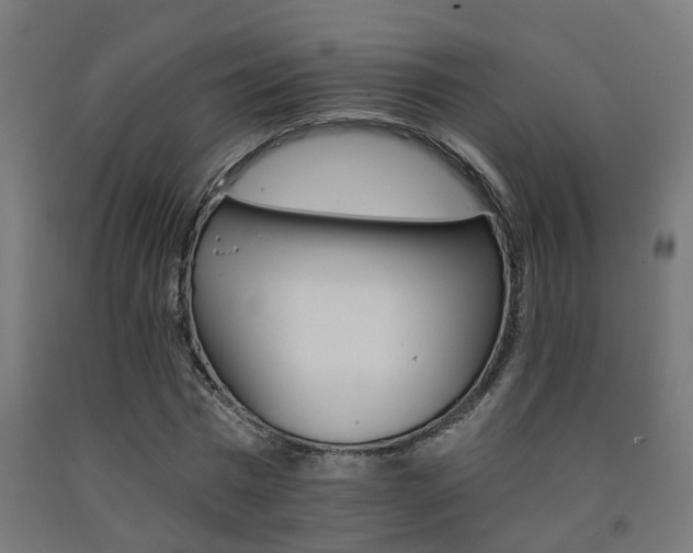 X0000093150777200709261444