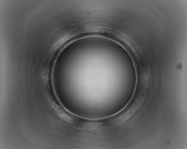 X0000093150778200709261444