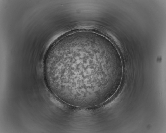 X0000093150779200709261444