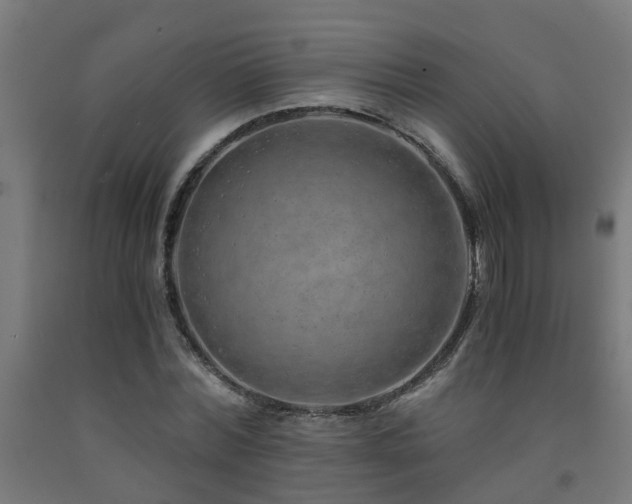 X0000093150780200709261444