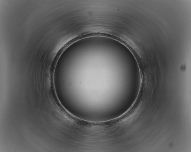 X0000093150782200709261444