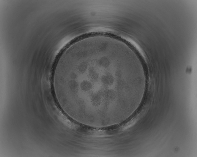 X0000093150783200709261444