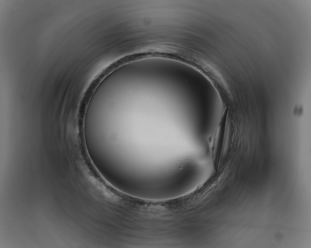 X0000093150784200709261444
