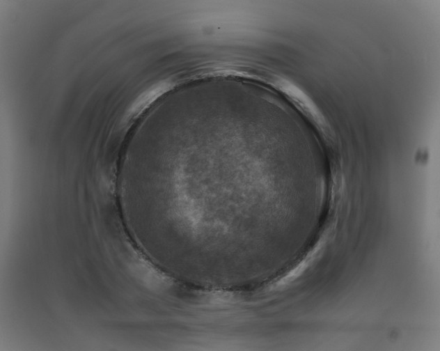 X0000093150785200709261444