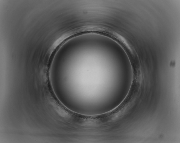 X0000093150786200709261444