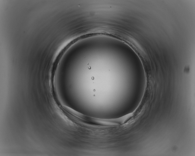 X0000093150788200709261444