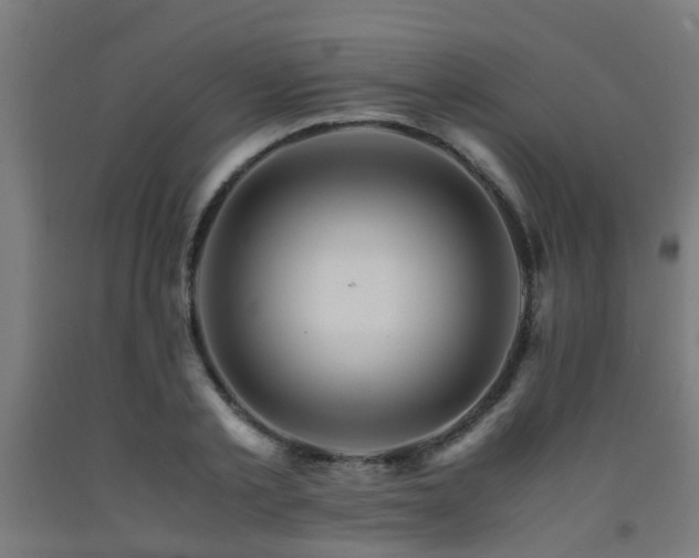 X0000093150789200709261444