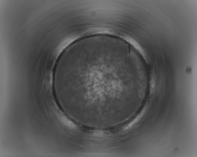 X0000093150790200709261444