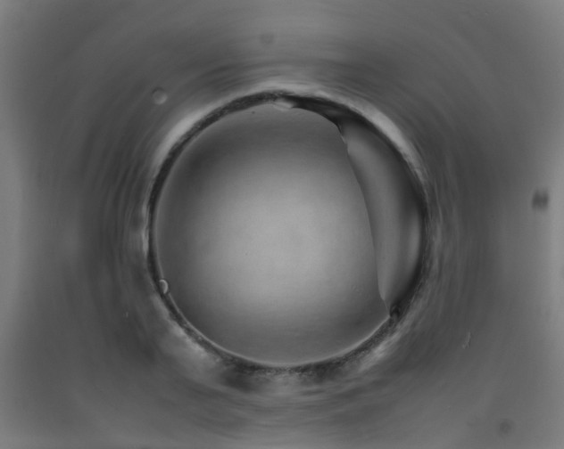 X0000093150791200709261444