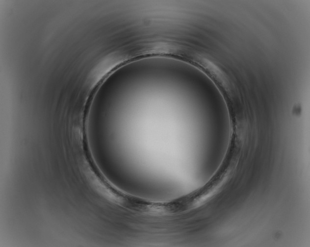 X0000093150794200709261444