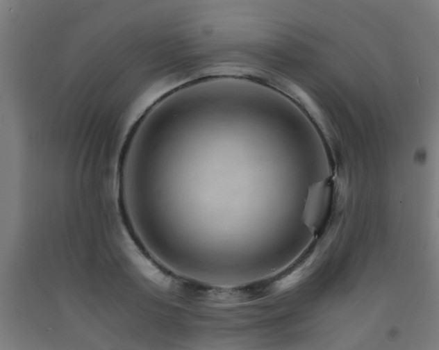 X0000093150795200709261444