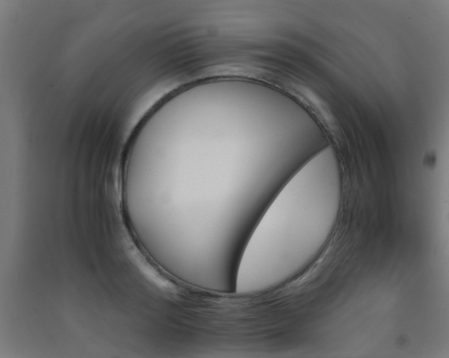 X0000093150796200709261444