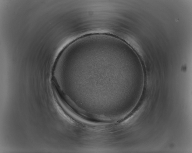 X0000093150797200709261444