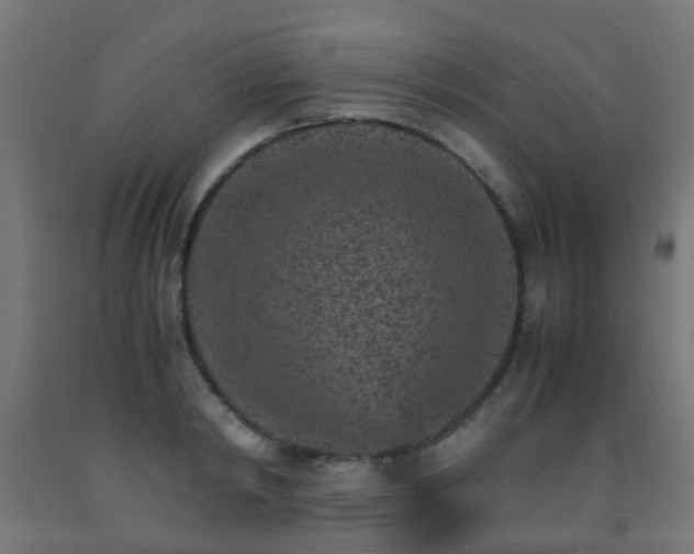 X0000093150798200709261444