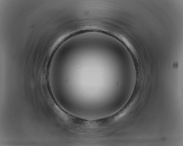 X0000093150799200709261444