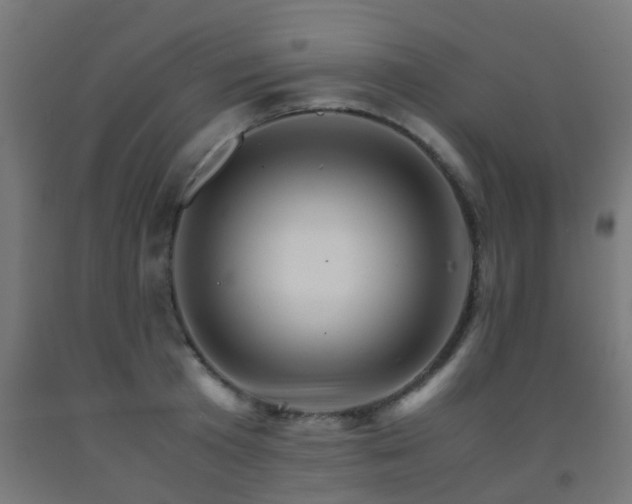 X0000093150801200709261444