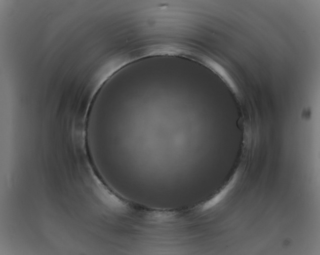 X0000093150802200709261444