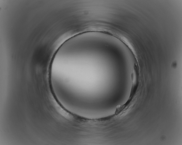 X0000093150803200709261444