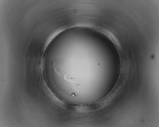 X0000093150804200709261444