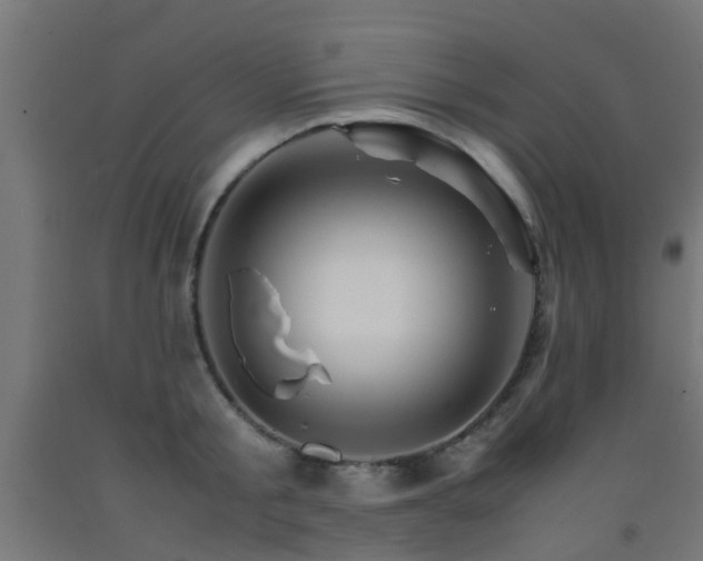 X0000093150805200709261444